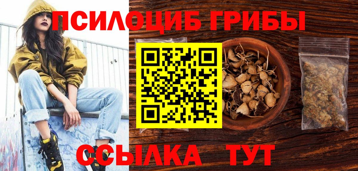 Псилоцибиновые грибы GOLDEN TEACHER Первоуральск